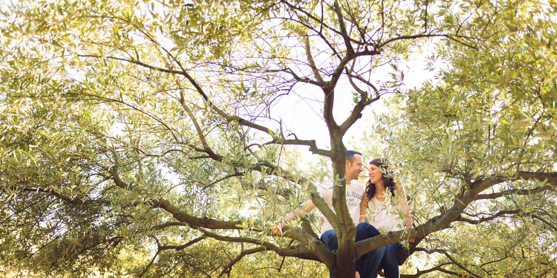 couple dans arbre olivier photographe famille sur de la france studio graou